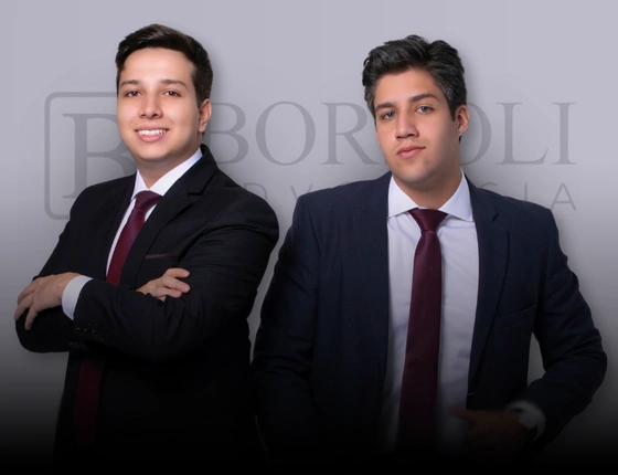 Img-sobre-borsoli-v2